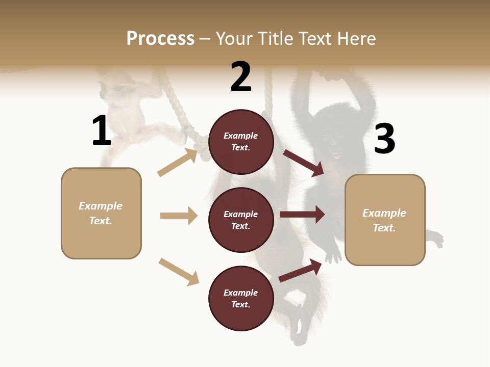 No People Hanging Bonobo PowerPoint Template