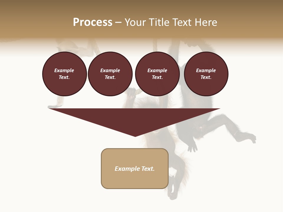 No People Hanging Bonobo PowerPoint Template