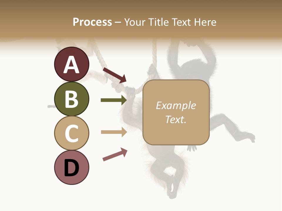 No People Hanging Bonobo PowerPoint Template