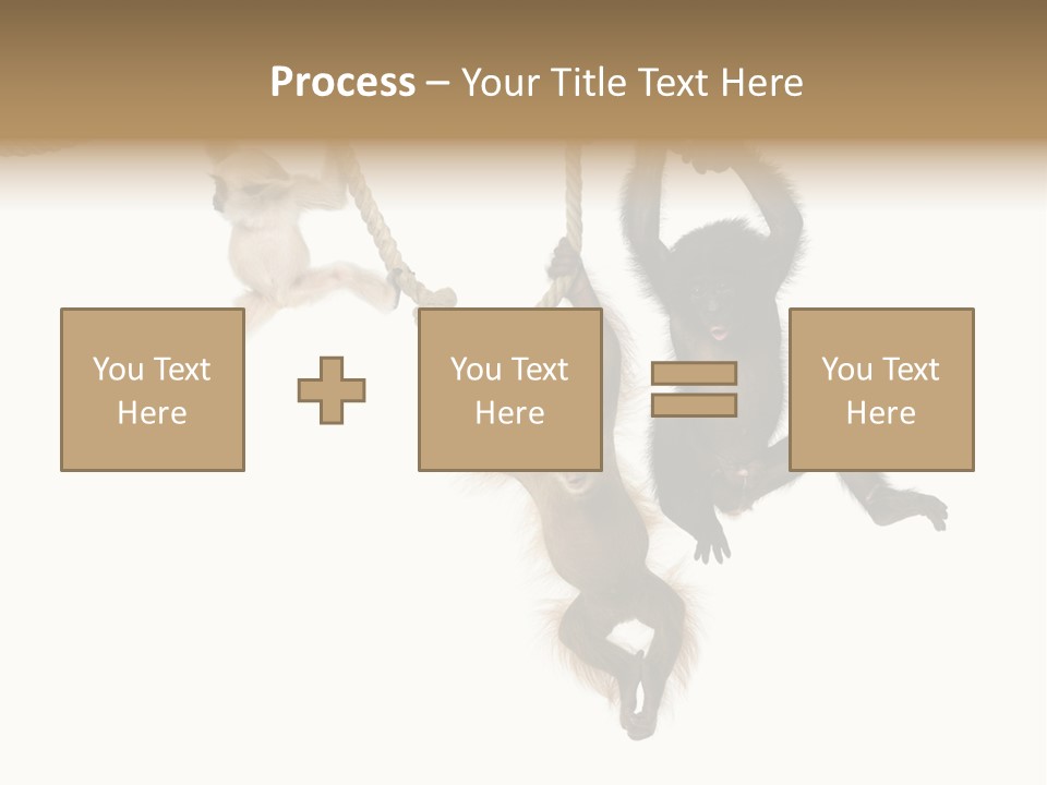 No People Hanging Bonobo PowerPoint Template