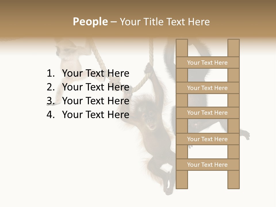 No People Hanging Bonobo PowerPoint Template