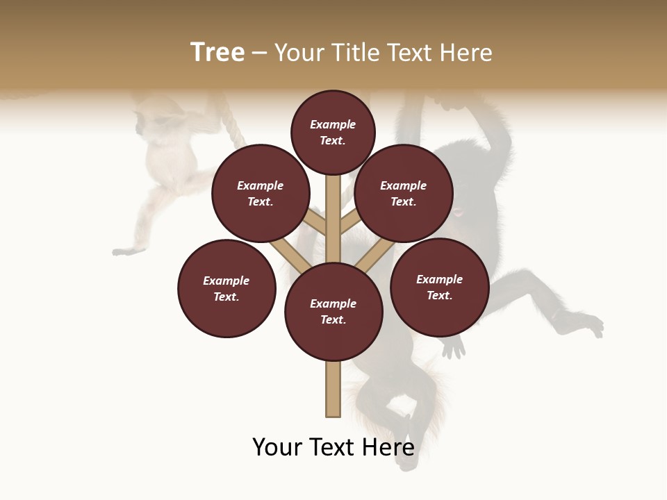 No People Hanging Bonobo PowerPoint Template