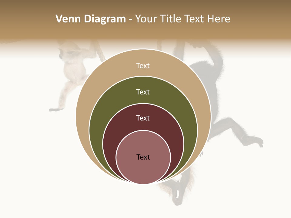 No People Hanging Bonobo PowerPoint Template