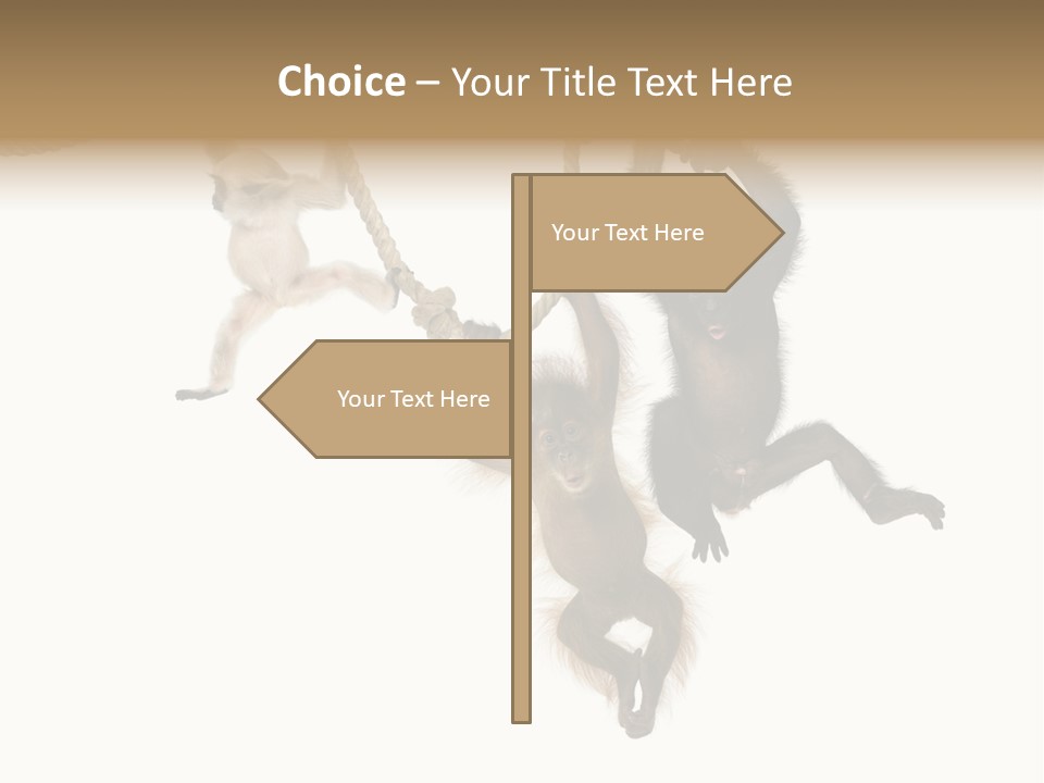 No People Hanging Bonobo PowerPoint Template