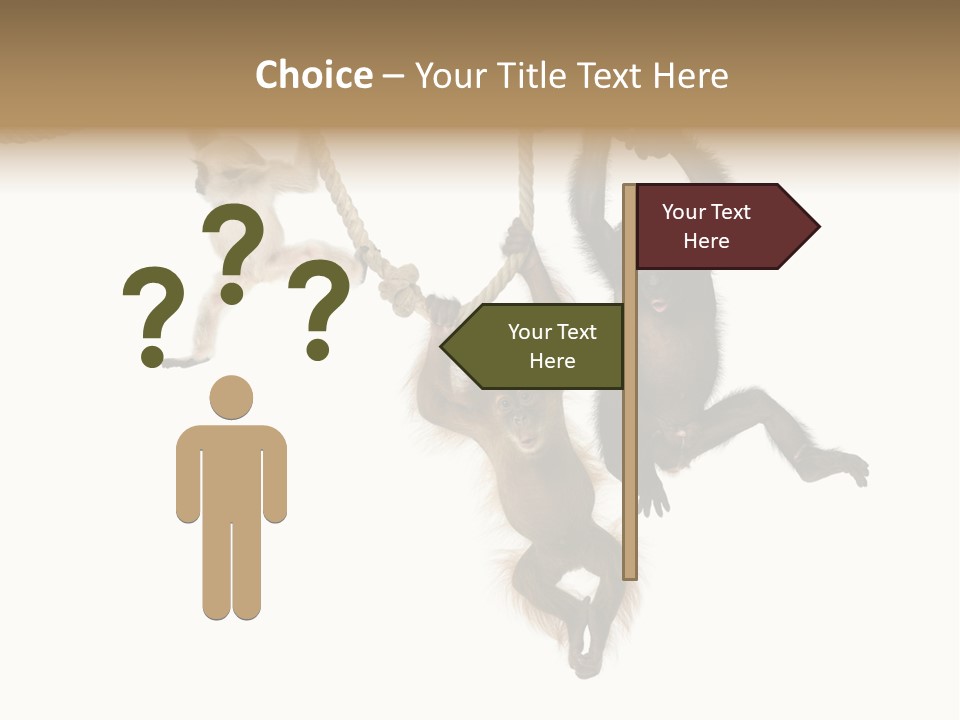 No People Hanging Bonobo PowerPoint Template