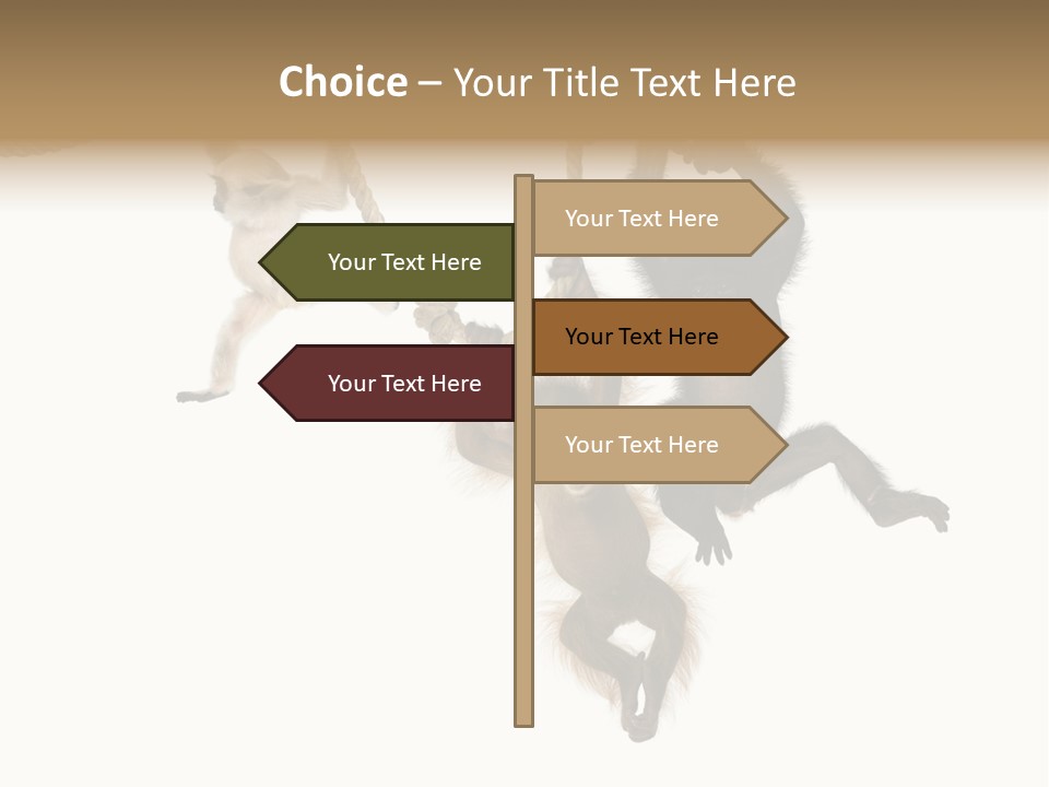 No People Hanging Bonobo PowerPoint Template