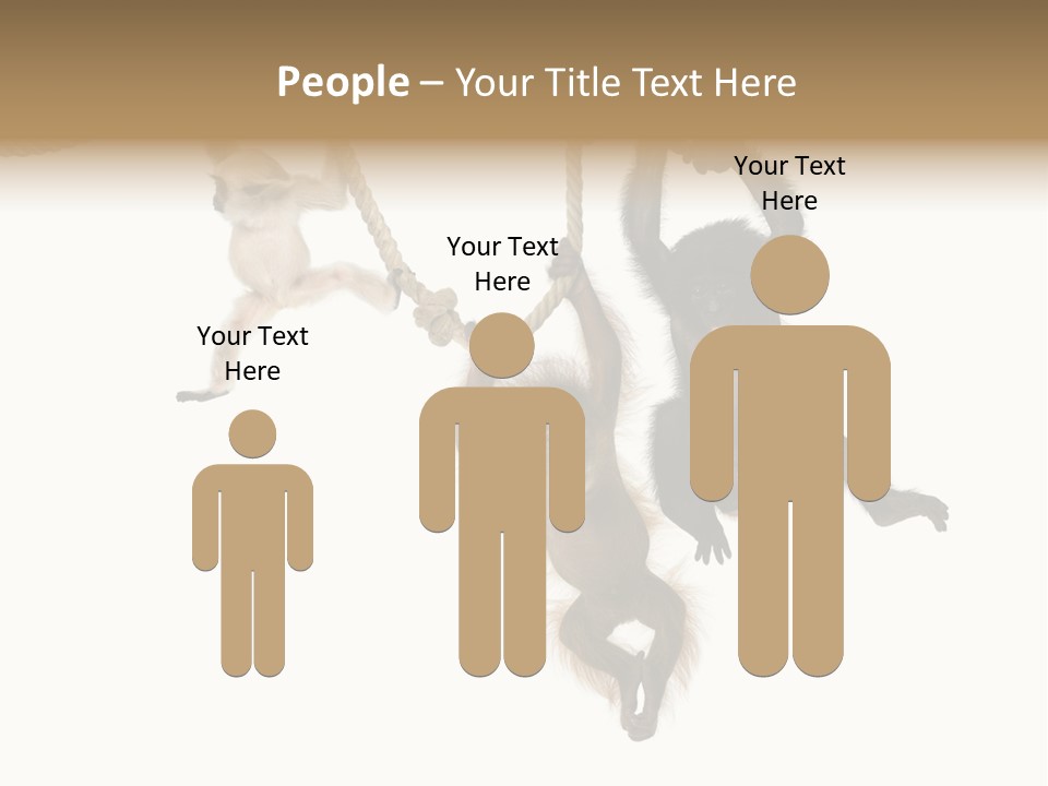 No People Hanging Bonobo PowerPoint Template