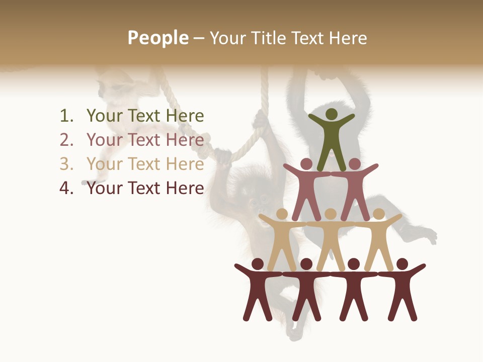 No People Hanging Bonobo PowerPoint Template