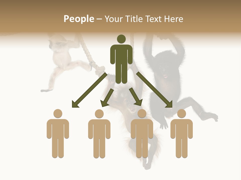 No People Hanging Bonobo PowerPoint Template