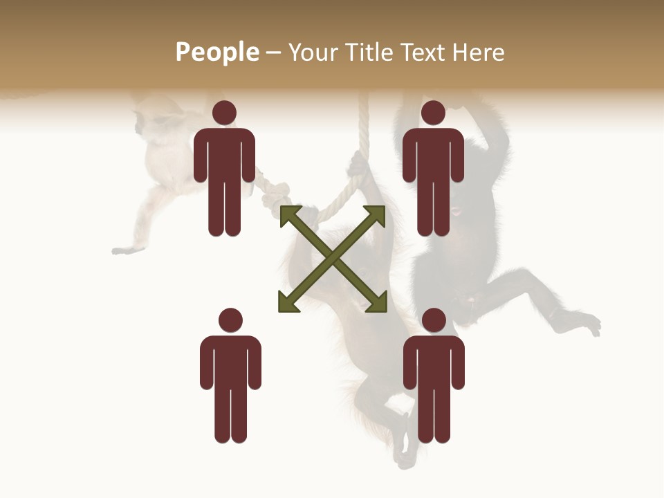 No People Hanging Bonobo PowerPoint Template