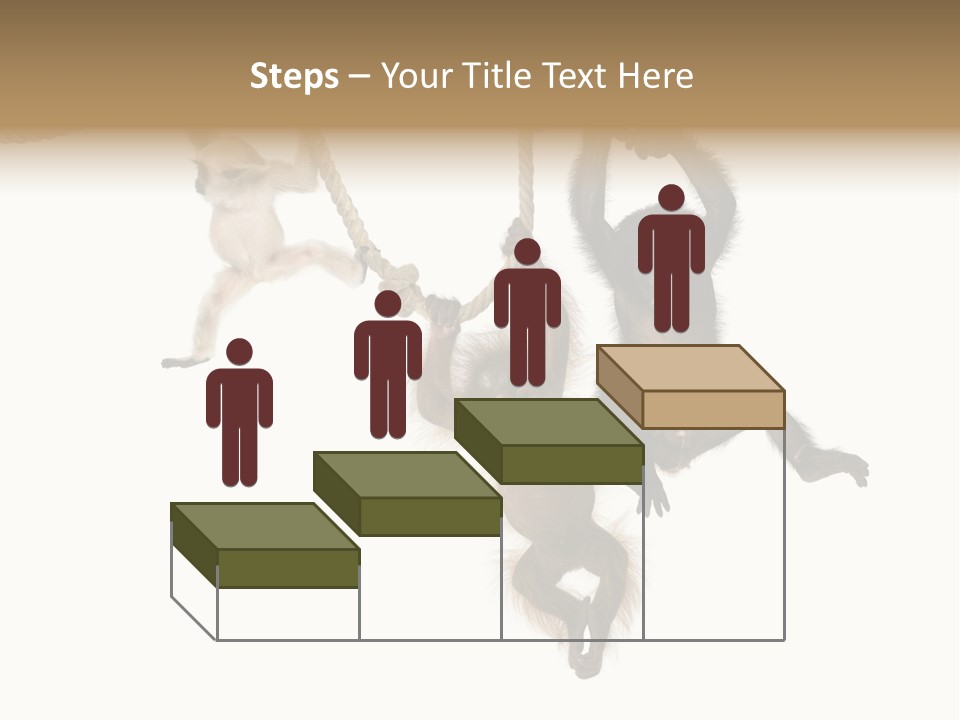 No People Hanging Bonobo PowerPoint Template