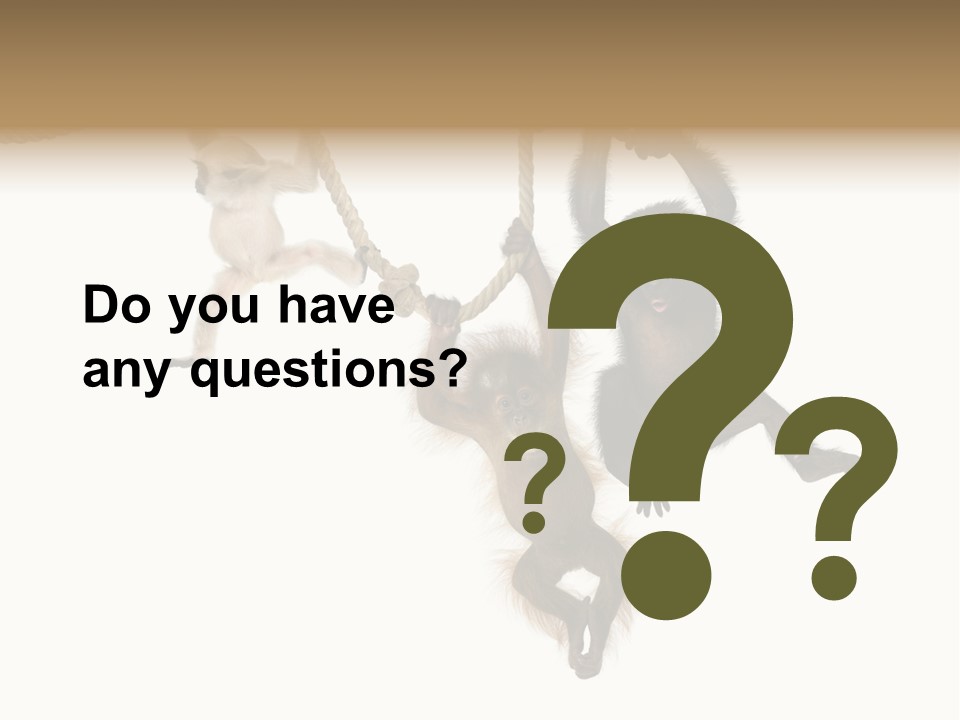 No People Hanging Bonobo PowerPoint Template