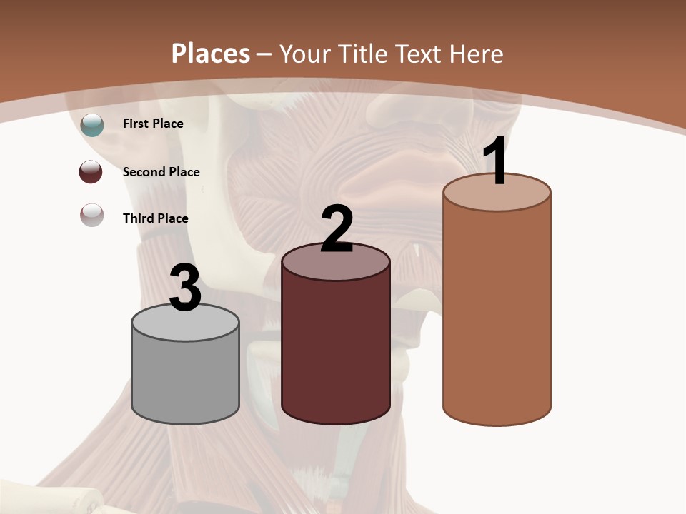 Dummy Background Isolated PowerPoint Template