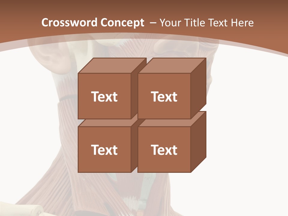 Dummy Background Isolated PowerPoint Template