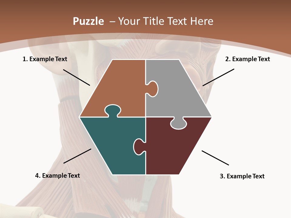 Dummy Background Isolated PowerPoint Template