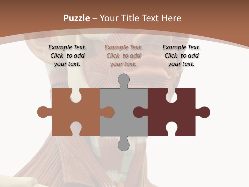 Dummy Background Isolated PowerPoint Template