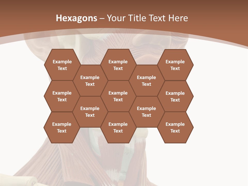 Dummy Background Isolated PowerPoint Template