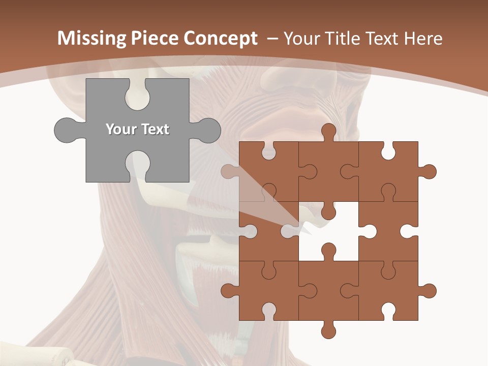 Dummy Background Isolated PowerPoint Template