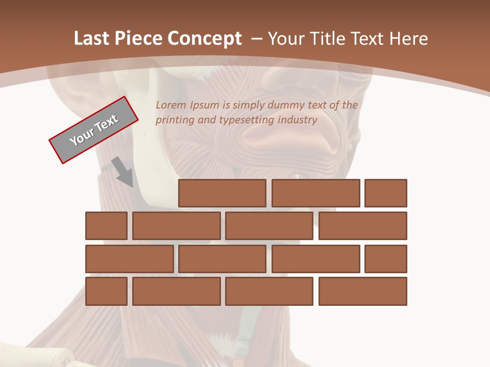 Dummy Background Isolated PowerPoint Template