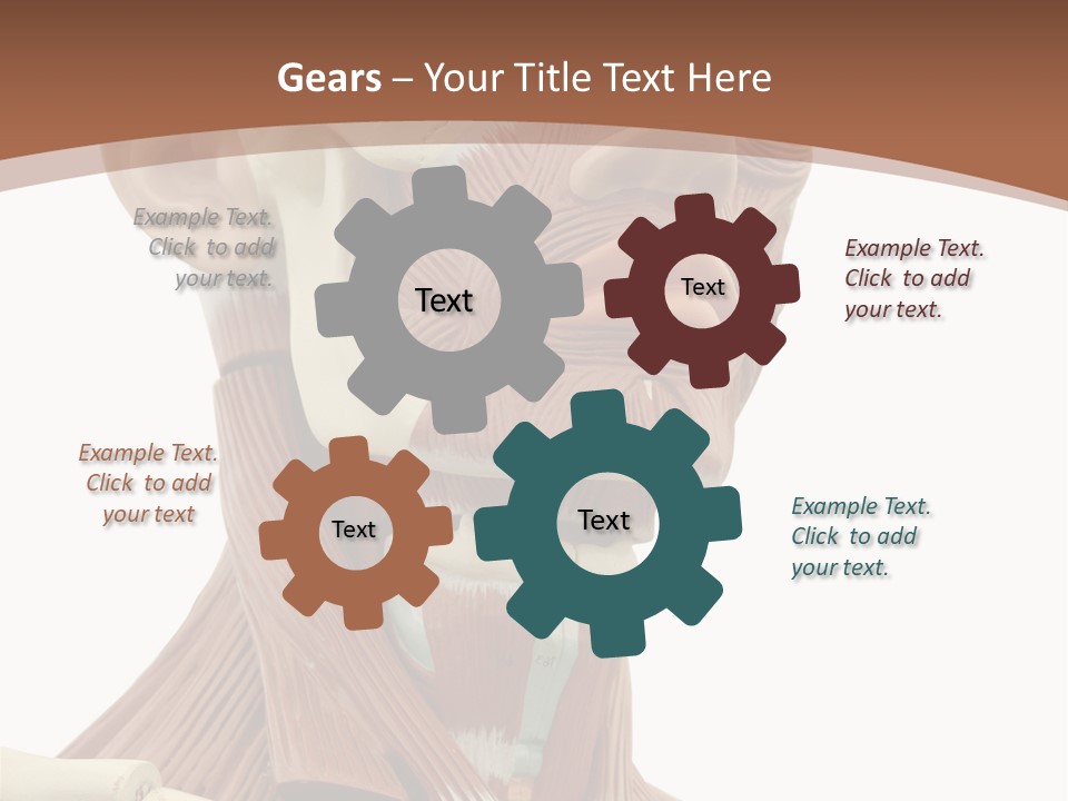 Dummy Background Isolated PowerPoint Template