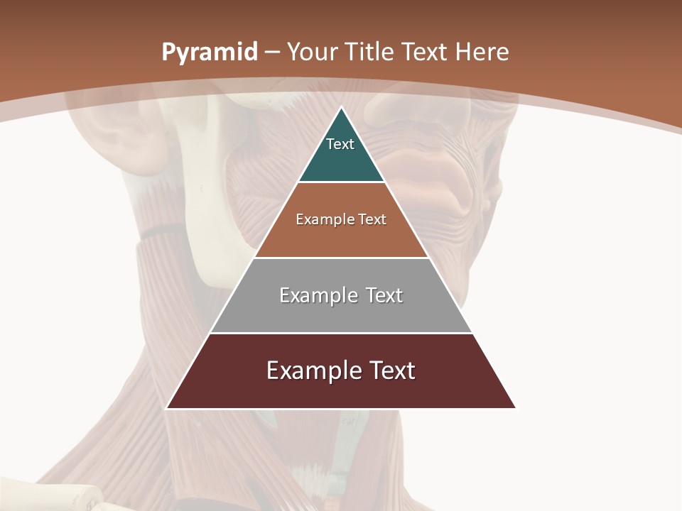 Dummy Background Isolated PowerPoint Template