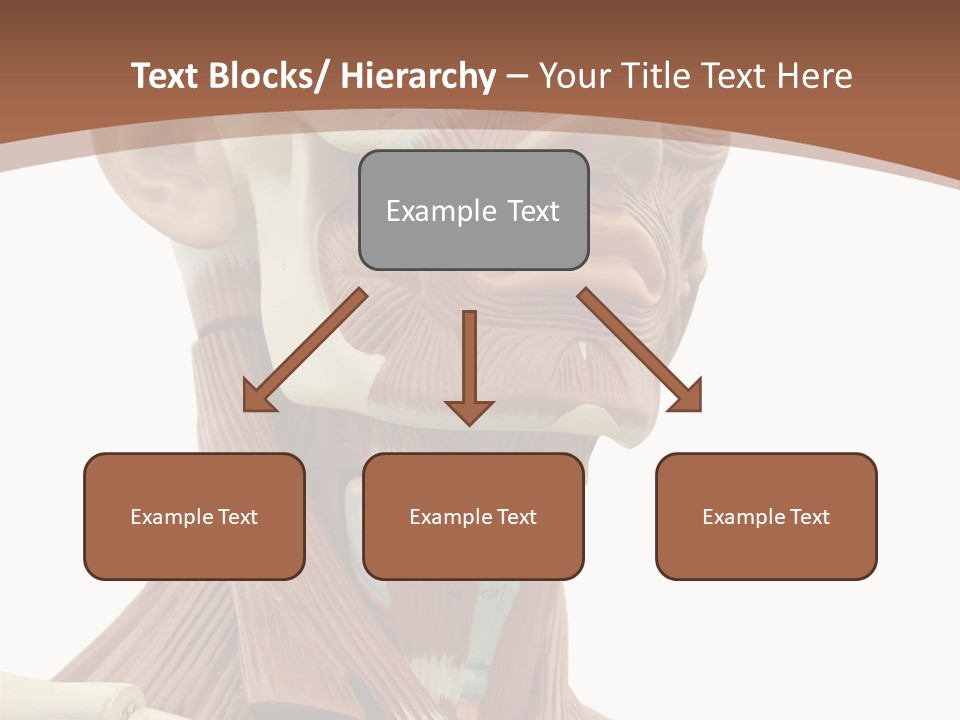 Dummy Background Isolated PowerPoint Template