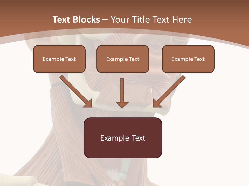 Dummy Background Isolated PowerPoint Template