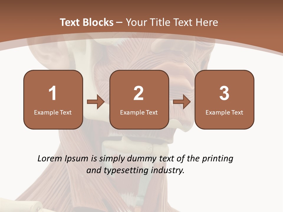 Dummy Background Isolated PowerPoint Template