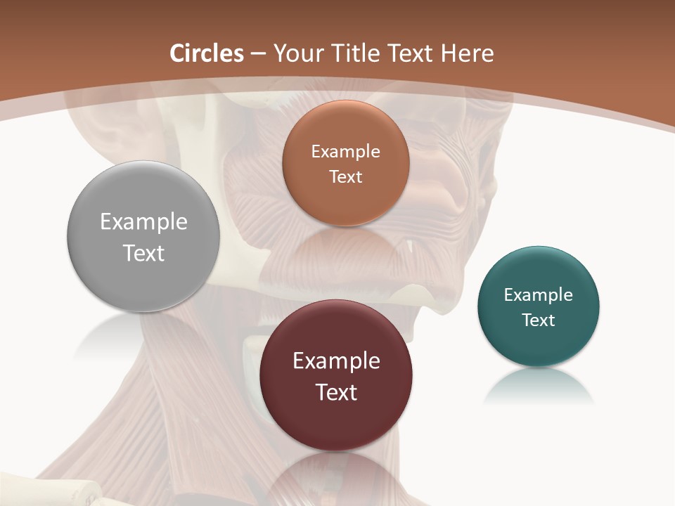 Dummy Background Isolated PowerPoint Template