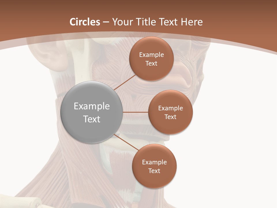 Dummy Background Isolated PowerPoint Template