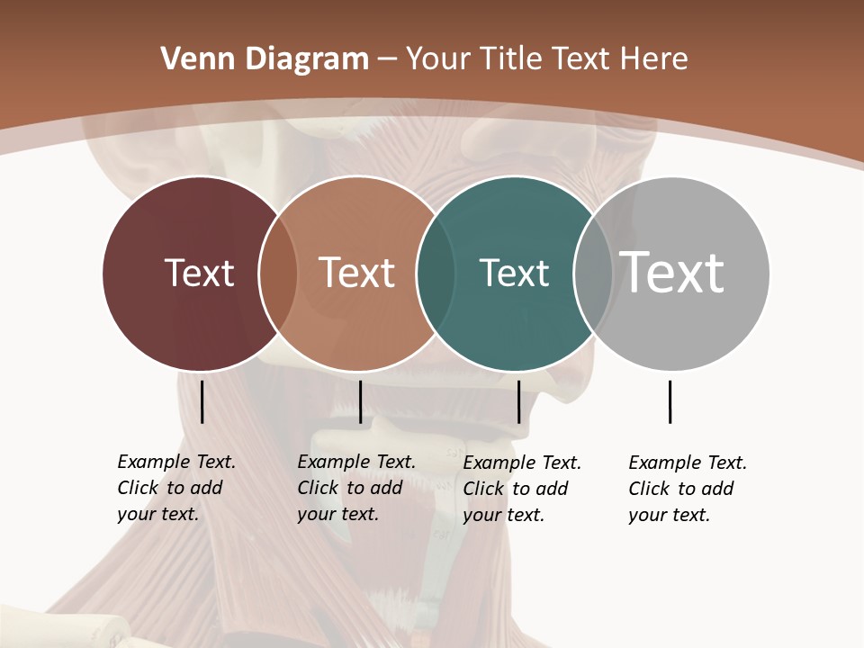 Dummy Background Isolated PowerPoint Template
