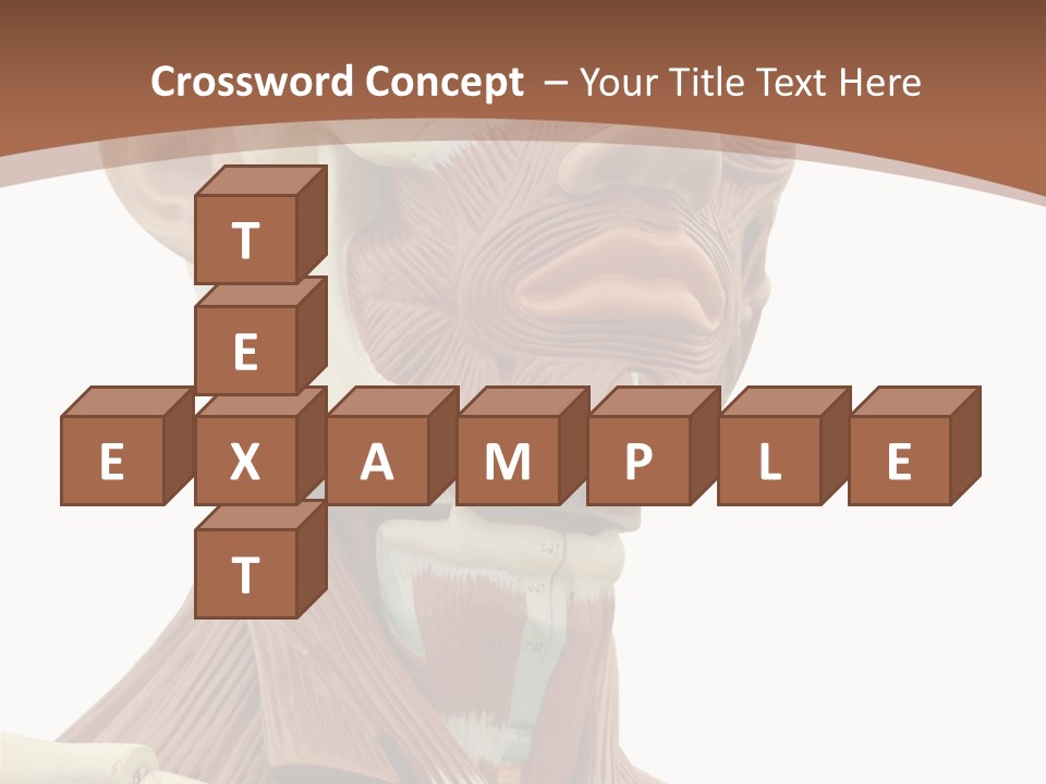 Dummy Background Isolated PowerPoint Template