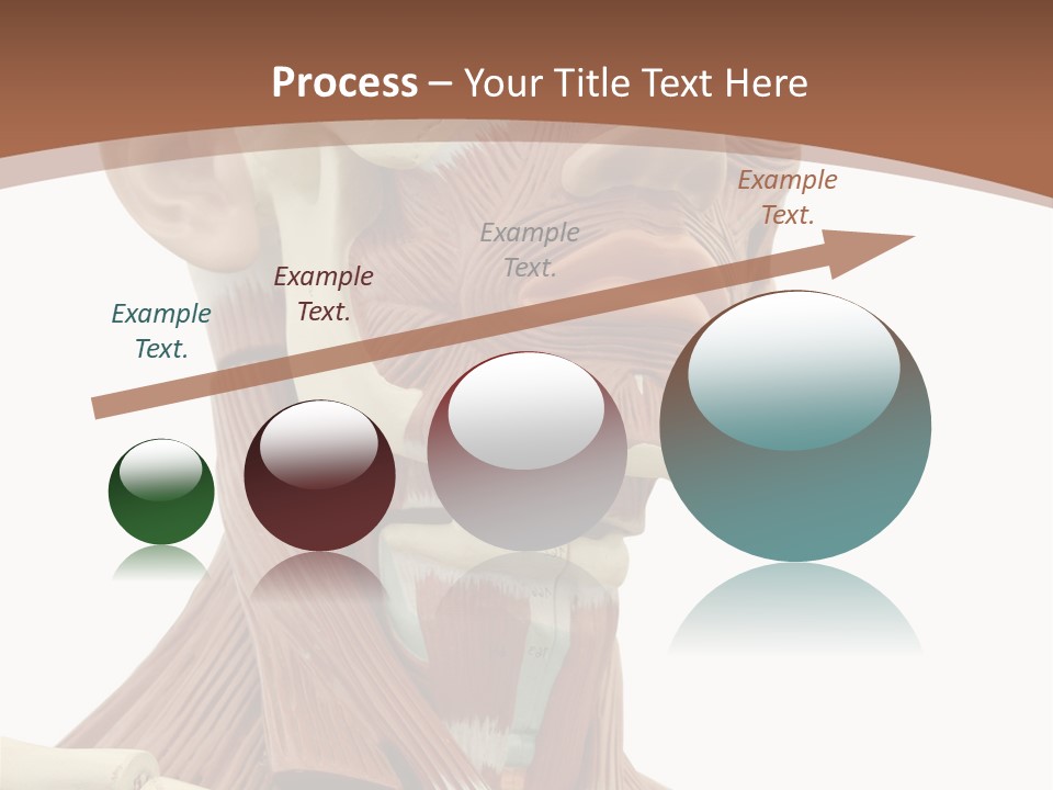 Dummy Background Isolated PowerPoint Template