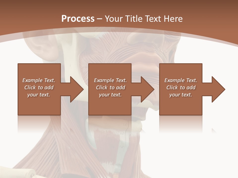 Dummy Background Isolated PowerPoint Template