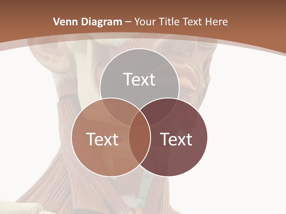 Dummy Background Isolated PowerPoint Template