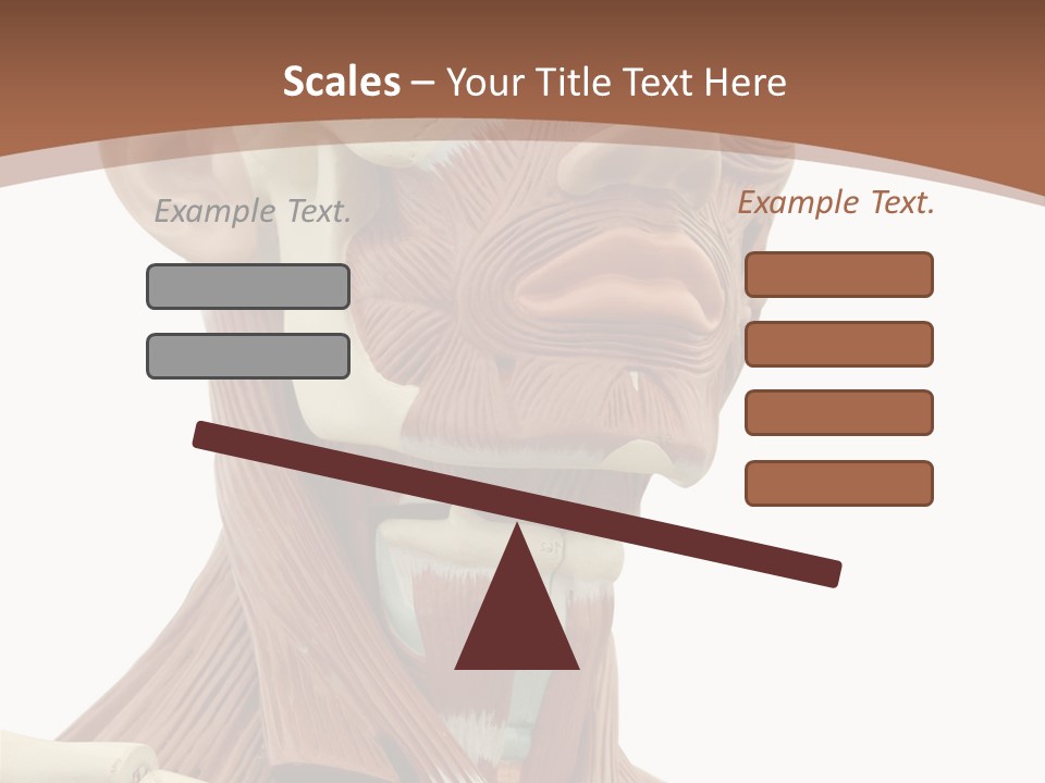 Dummy Background Isolated PowerPoint Template