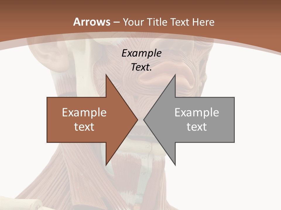 Dummy Background Isolated PowerPoint Template