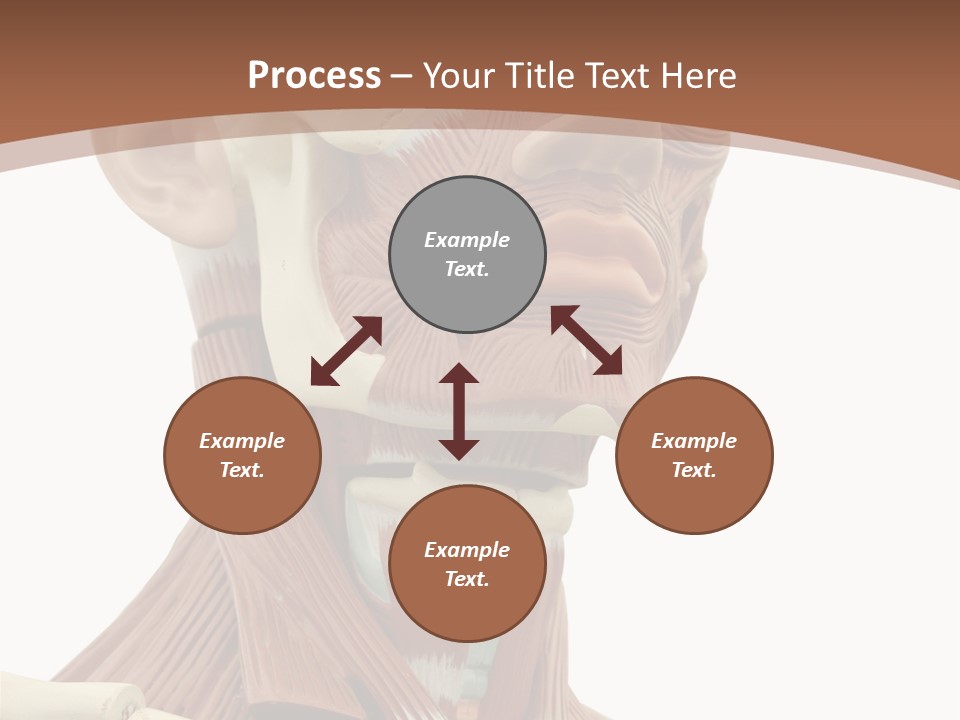 Dummy Background Isolated PowerPoint Template