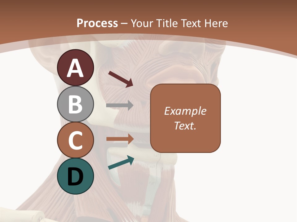 Dummy Background Isolated PowerPoint Template