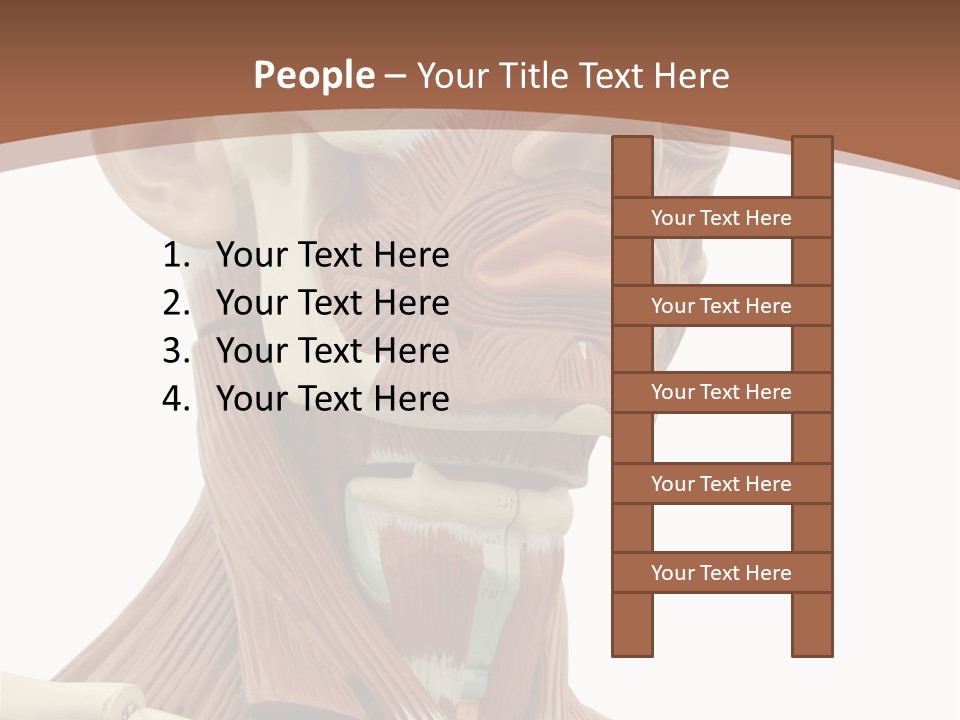 Dummy Background Isolated PowerPoint Template