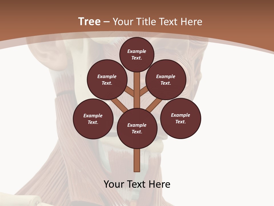 Dummy Background Isolated PowerPoint Template