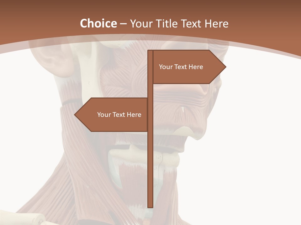 Dummy Background Isolated PowerPoint Template