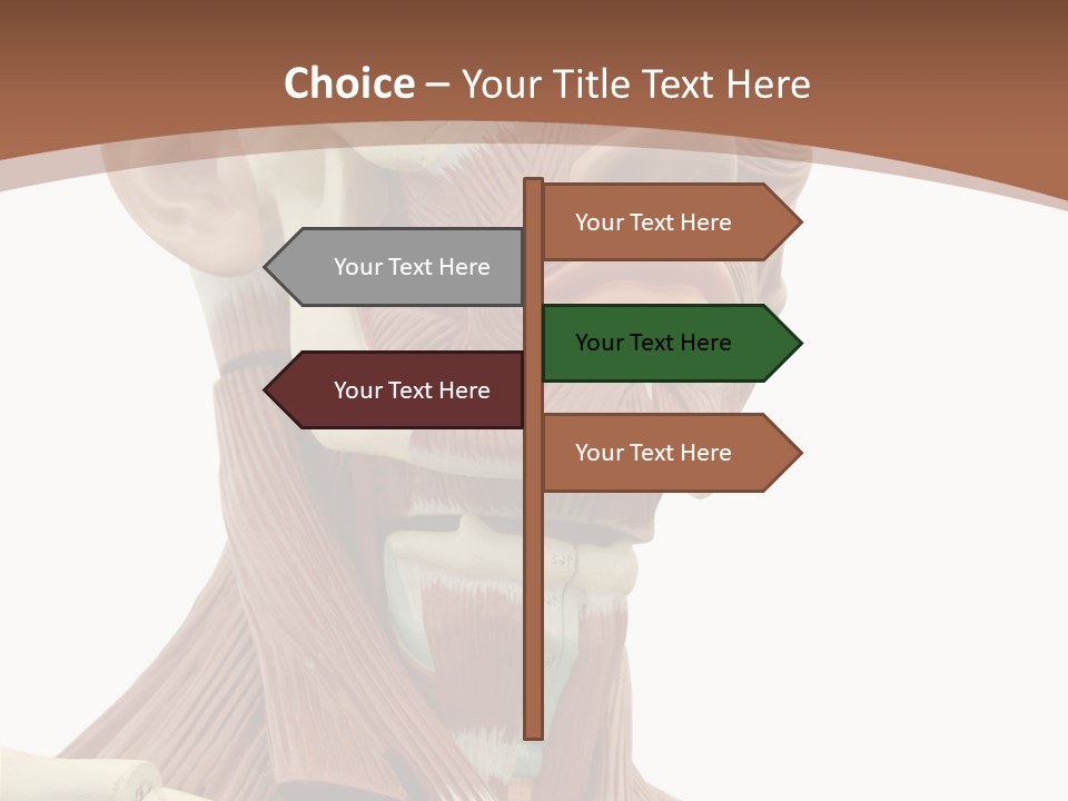 Dummy Background Isolated PowerPoint Template