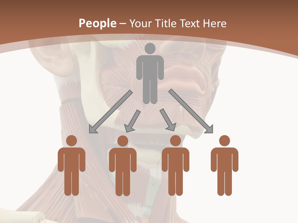 Dummy Background Isolated PowerPoint Template