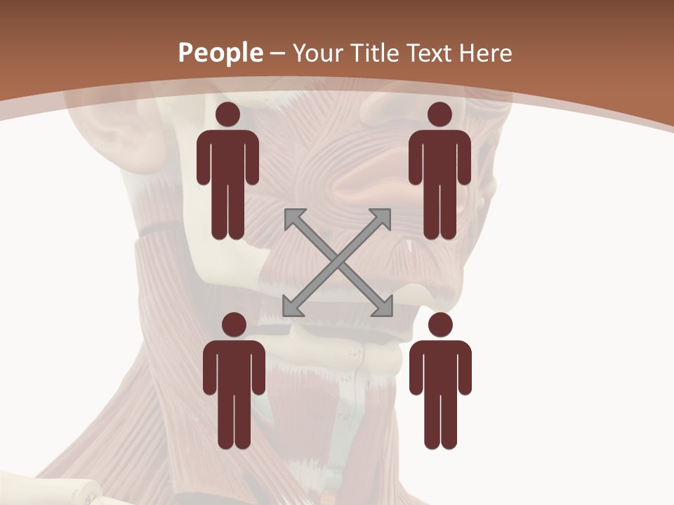 Dummy Background Isolated PowerPoint Template