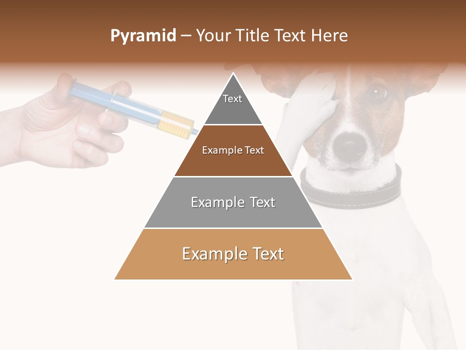 Background Doctor Cure PowerPoint Template