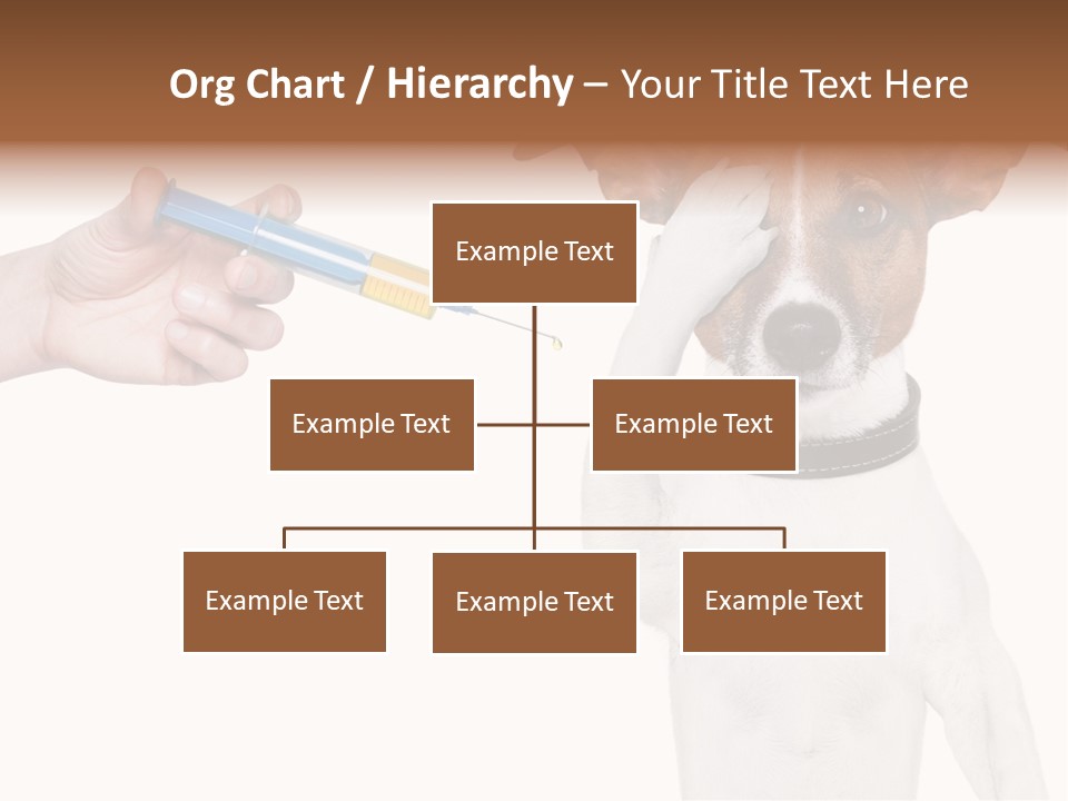 Background Doctor Cure PowerPoint Template