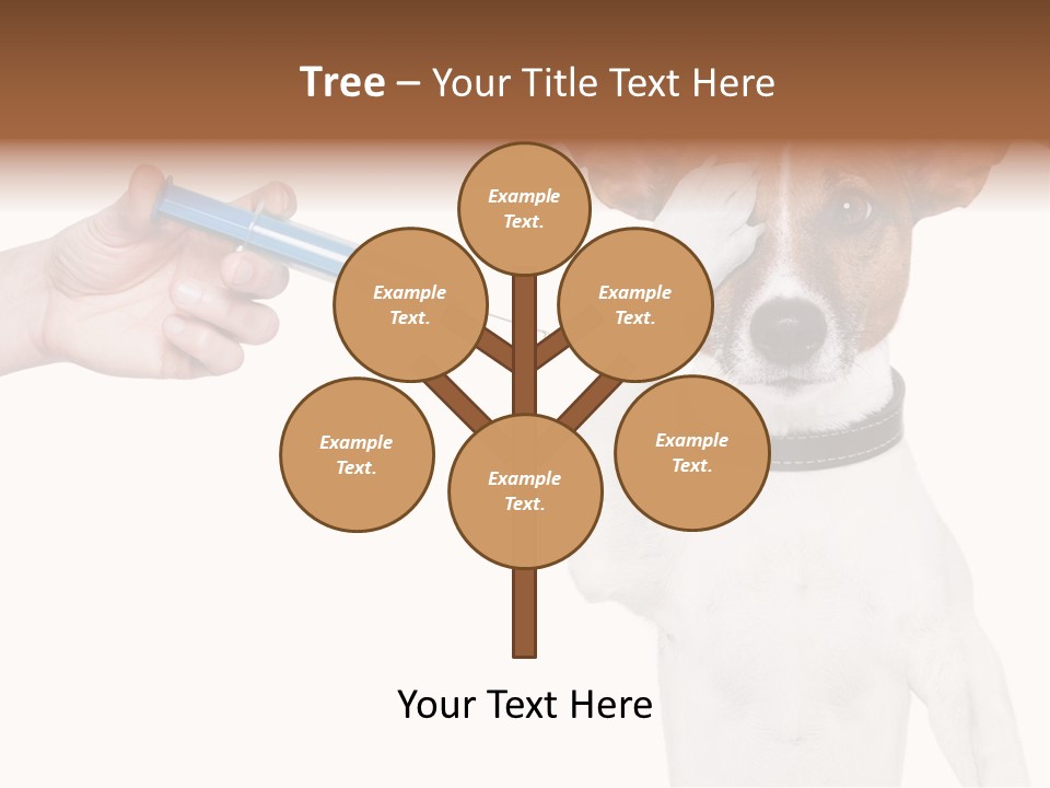 Background Doctor Cure PowerPoint Template