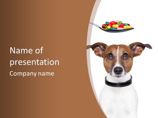 Funny Vet Spoon PowerPoint Template