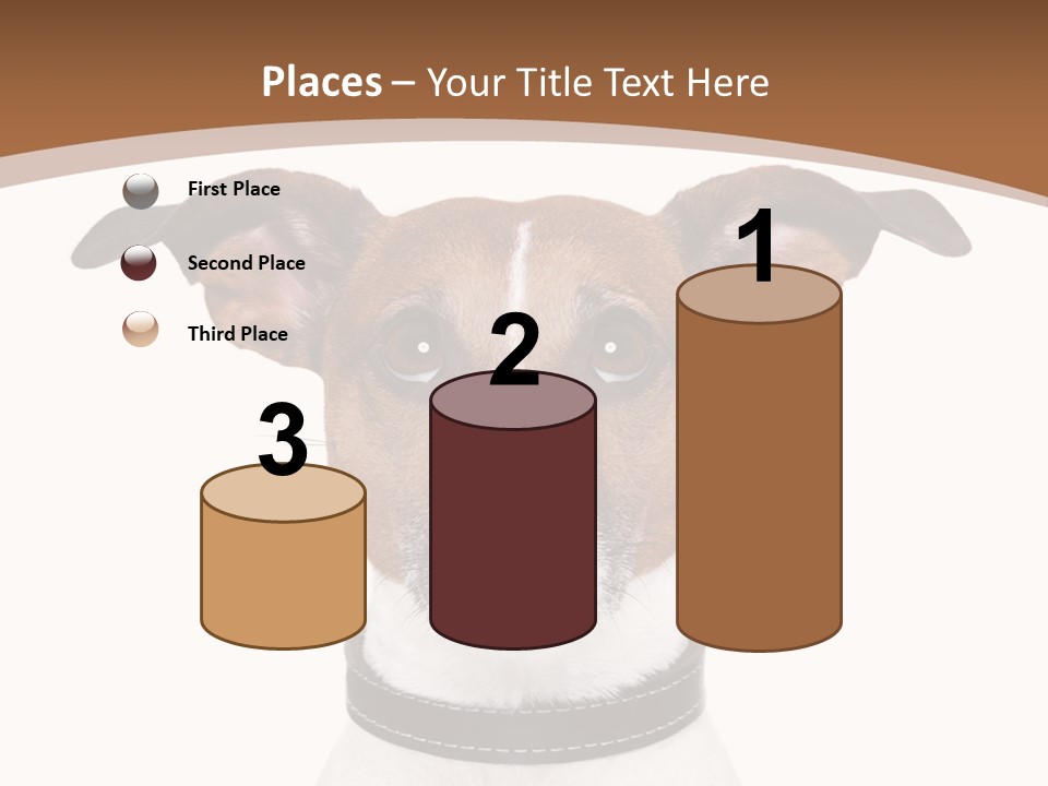 Funny Vet Spoon PowerPoint Template